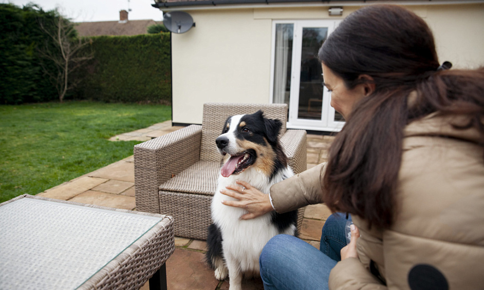 Entreprise D'Élevage Canin Très Rentable Avec Maison À Vendre 1 Entreprise D'Élevage Canin Très Rentable Avec Maison À Vendre 1