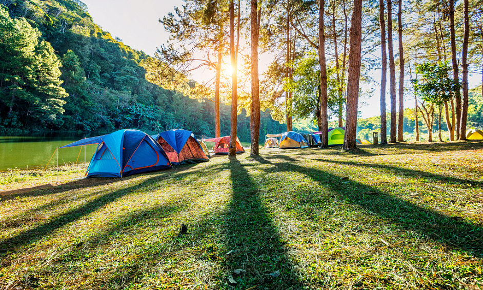 Site de Glamping & Camping sur la Rive du Loch Ness dans les Highlands Écossais avec Potentiel d'Extension 1