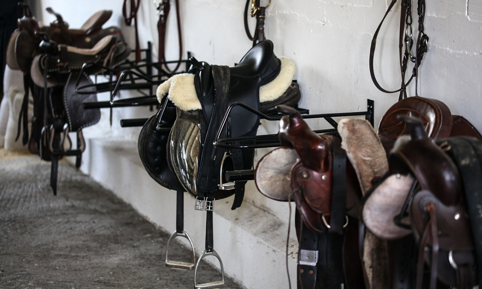 Couvertures pour chevaux et poneys, bavettes, protège-crinières. Fabrication et vente. Commerce en ligne. 1