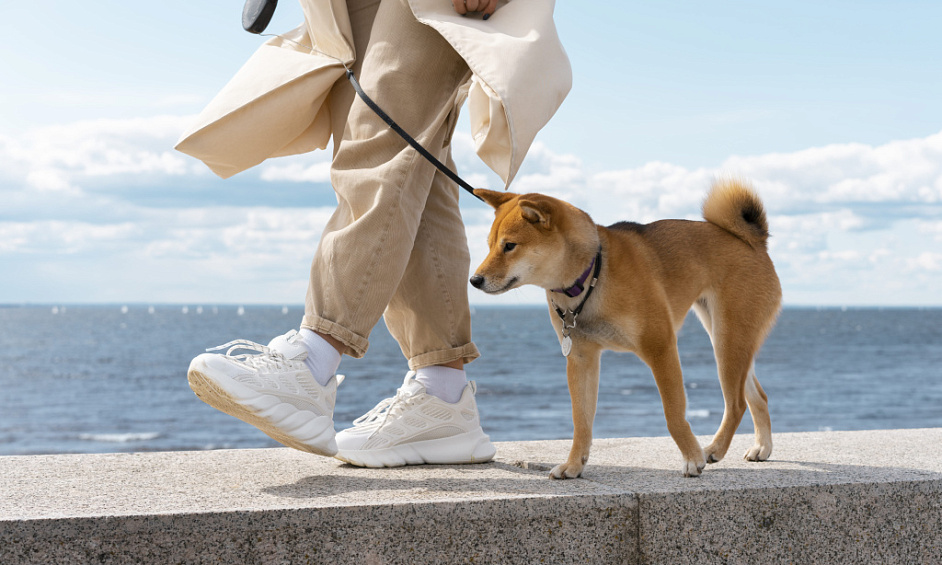 Société de Promenade de Chiens Établie à Wimbledon, Proposant Garderie, Pension & Visites à Domicile pour Animaux 1 Société de Promenade de Chiens Établie à Wimbledon, Proposant Garderie, Pension & Visites à Domicile pour Animaux 1