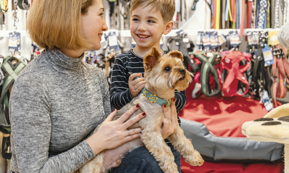 Boutique Communautaire De Fournitures Pour Animaux Rinno's Pet Zone À Vendre À Dunfermline Fife 1