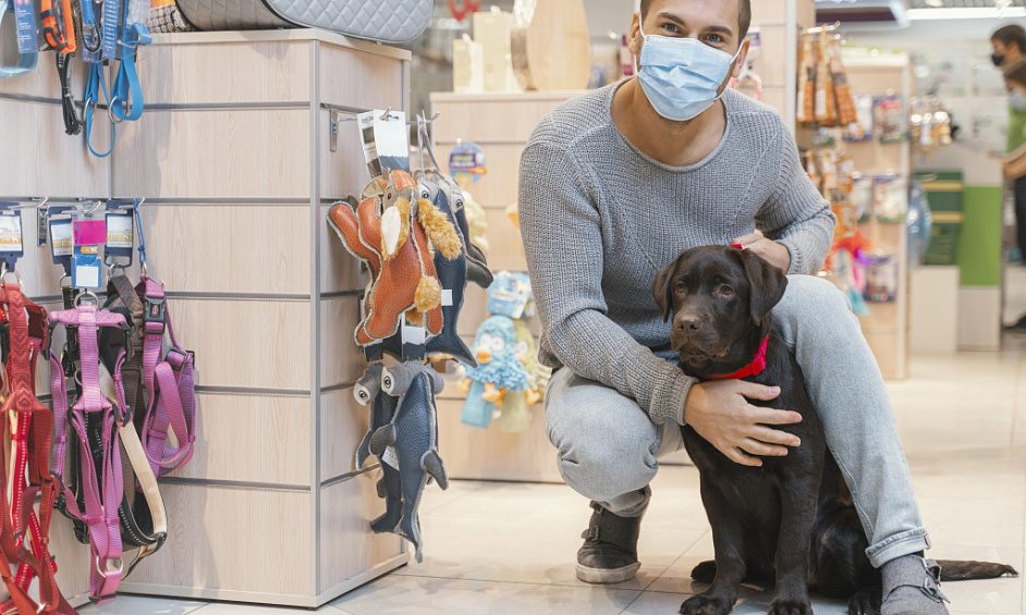 Boutique Pour Chiens En Emplacement De Choix Avec Salon De Toilettage Et Boutique En Ligne À East London À Vendre 1