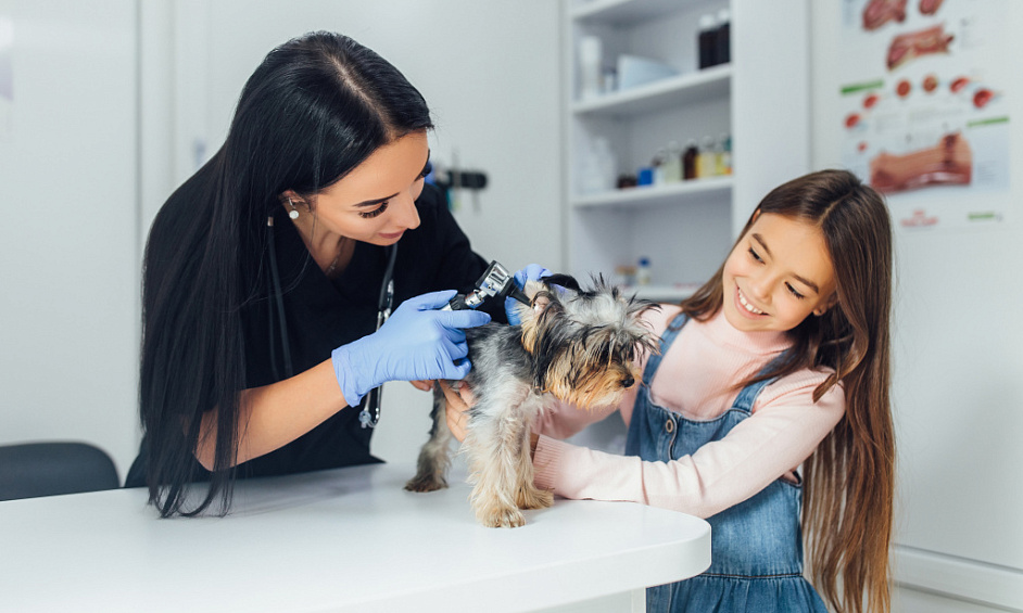 Salon de toilettage pour chiens et chats à vendre à Birmingham - Paradis des animaux choyés 1