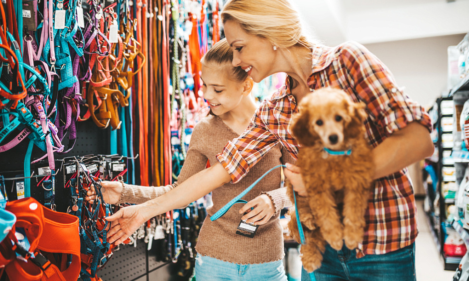 Entreprise de fournitures pour animaux à vendre à Sheffield, dans le South Yorkshire, avec un potentiel d'expansion des ventes en ligne 1